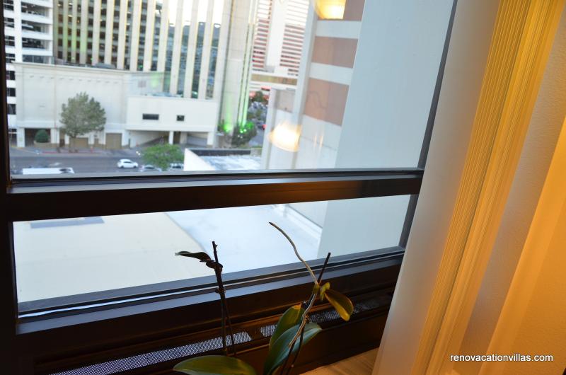 Fresh air window